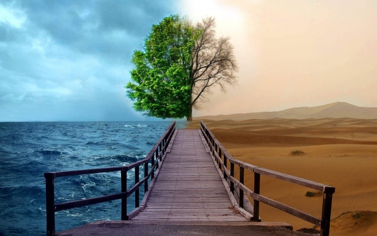 Entenda ponto a ponto a encíclica Laudato Si
