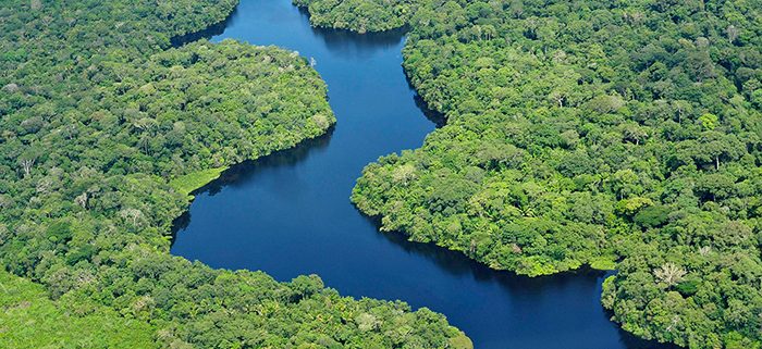 bioma_amazonia_principal