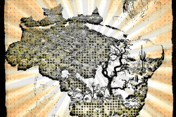 cartaz_cf_2017_original_pk_efeito_03