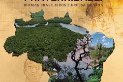cartaz_cf_2017_original_pk_quadrado