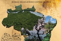 Midis das músicas da CF 2017 icone_cf_2017_03