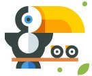 Campanha da Fraternidade 2017 Biomas CNBB