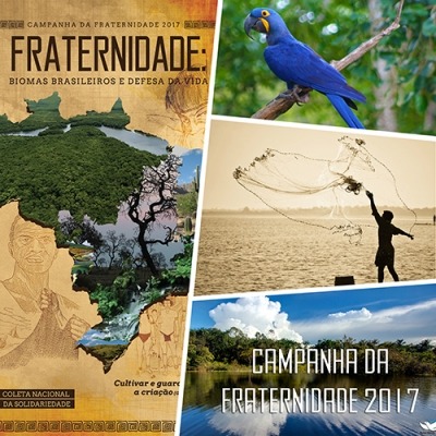 mosaico_cf_2017_03