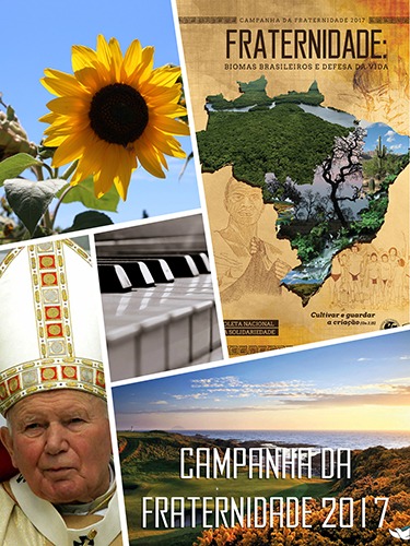 mosaico_cf_2017_04