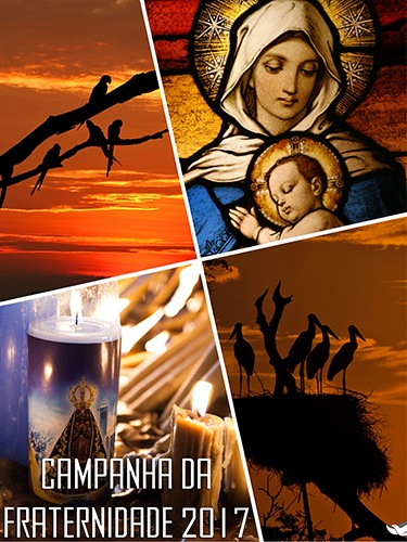 mosaico_cf_2017_07