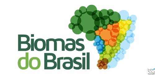 O desafio de despertar a consciência coletiva durante a CF 2017 O desafio de despertar a consciência coletiva durante a CF 2017