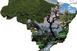 Mapa recortado em PDS (PhotoShop) cartaz_mapa