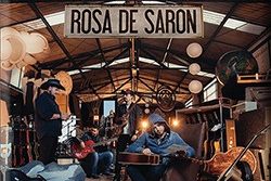 rosa_de_saron_essencial