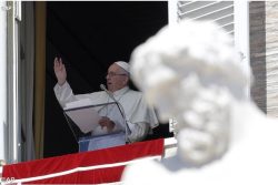 Papa: alimentar desejo de paz e aspirar ambiente livre de degradação
