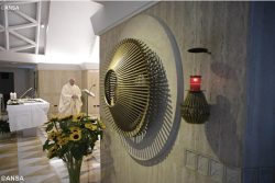 Papa Francisco: perseguição, a consequência da obediência cristã
