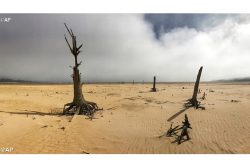 Card. Turkson: “A Terra é um jardim, não façamos dela um deserto” Card. Turkson: “A Terra é um jardim, não façamos dela um deserto”