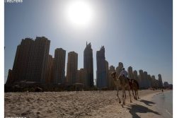 Igreja em festa nas Arábias com primeira ordenação sacerdotal em Dubai Igreja em festa nas Arábias com primeira ordenação sacerdotal em Dubai