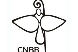 Nomeados três novos bispos no Brasil