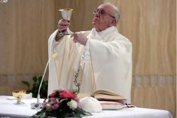 Papa Francisco: caridade e bondade, estilo cristão
