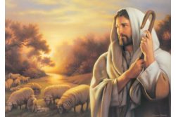Reflexão para o IV Domingo da Páscoa: Dia do Bom Pastor Reflexão para o IV Domingo da Páscoa: Dia do Bom Pastor
