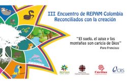 REPAM: "Como nos reconciliar com a Criação?"