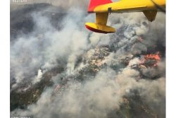 Tragédia atingiu o país, diz bispo de Aveiro sobre incêndio em Portugal Tragédia atingiu o país, diz bispo de Aveiro sobre incêndio em Portugal