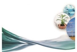 "Ecologia e Grandes Cidades": rever nossos comportamentos