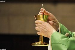 Texto integral: sobre o pão e o vinho para a Eucaristia Texto integral: sobre o pão e o vinho para a Eucaristia