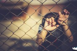 as-varias-formas-de-violencia-na-sociedade