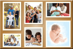 arte-cartaz-snf-2019