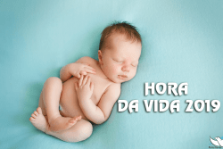 hora-da-vida-materiais