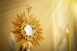 A CNBB emite nota sobre o desrespeito à fé cristã fe-catolica