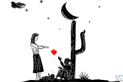 cordel-cf-2020-pk-04