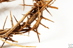 semana-santa-2020-01