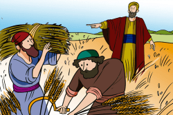 19 de julho - Missa do 16° Domingo do Tempo Comum 2020 16-domingo-tempo-comum-ano-a-1