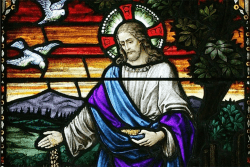 Reflexão e sugestão para a Missa do 15° Domingo do Tempo Comum 2020 - Ano A jesus-semeando