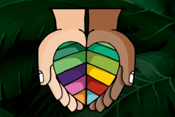 amazonia-precisa-de-voce