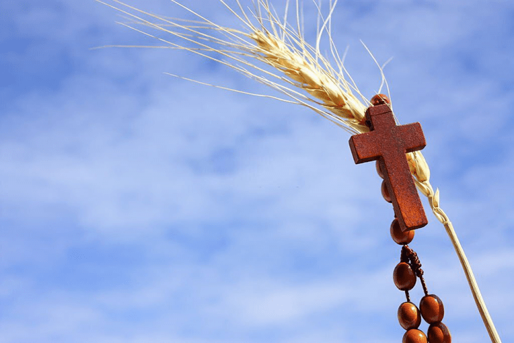 18º Domingo do Tempo Comum 2022