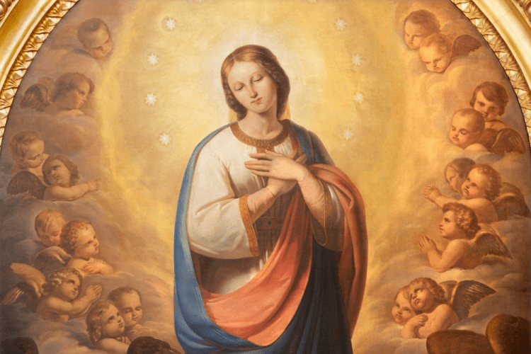 Imaculada Conceição de Nossa Senhora 2022