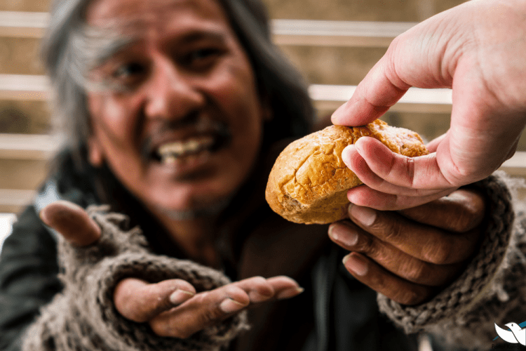Resumo da Fome no Brasil
