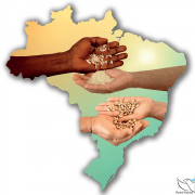 Campanha da Fraternidade 2023 nas escolas