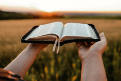 A liturgia do mês de setembro de 2023 liturgia-setembro-mes-da-biblia-2023