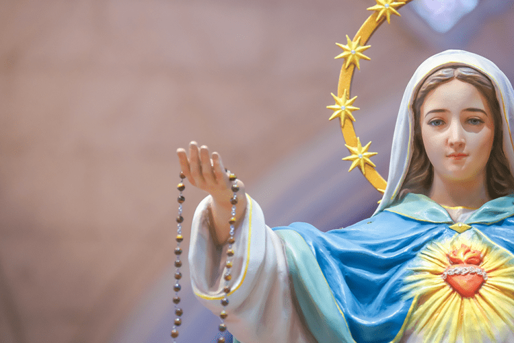 Imaculada Conceição de Nossa Senhora 2023 Imaculada Conceição de Nossa Senhora 2023