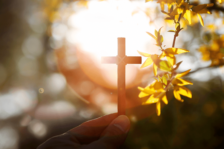 8º Domingo do Tempo Comum 2025