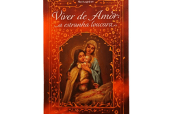viver-de-amor-a-estranha-loucura-pdf