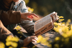 O Mês da Bíblia 2026 (Encontros) encontros-mes-da-biblia-2026