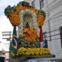 Imagem 33