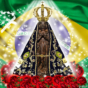 Imagem 31