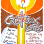 Ano do Laicato Banner